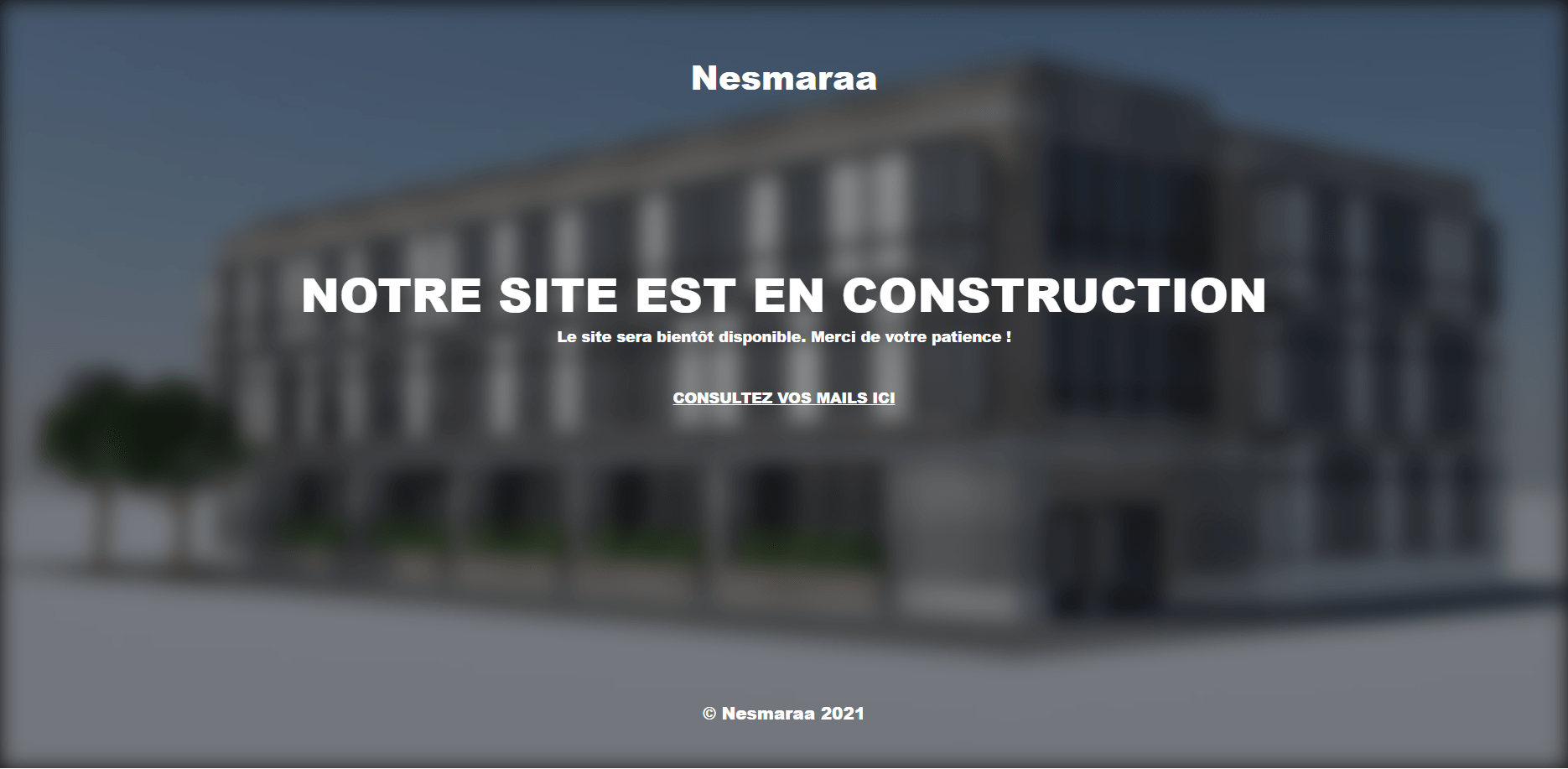 Conception du site web de l’entreprise Nesmaraa