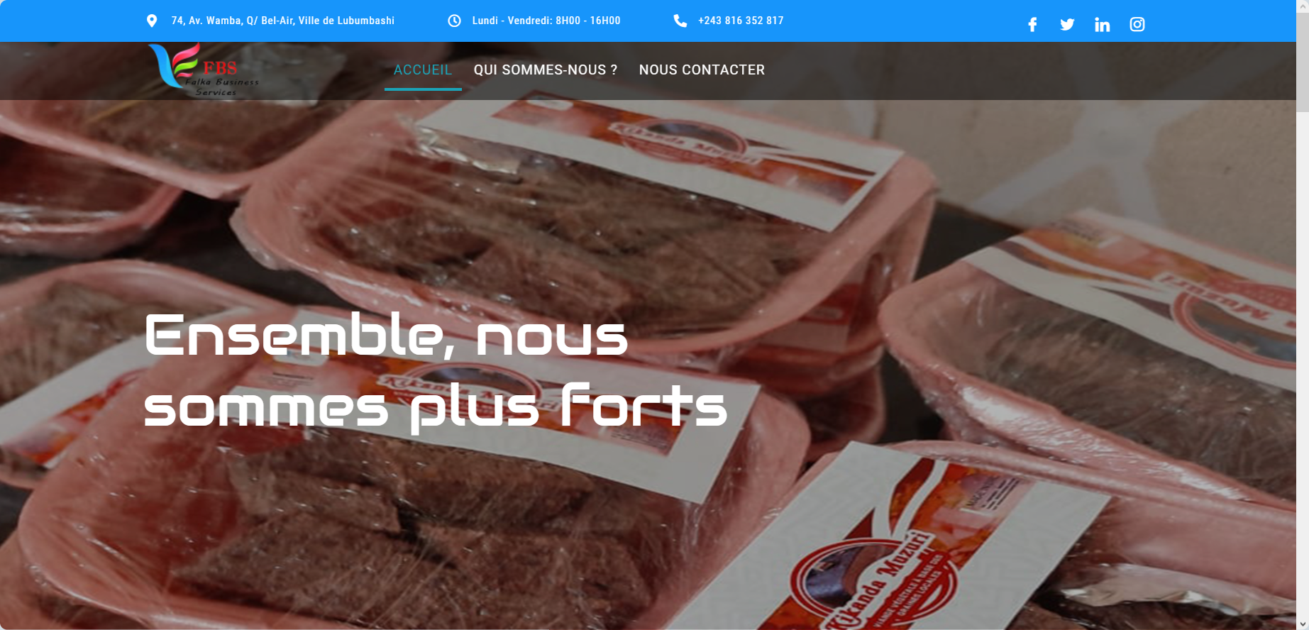 Création du site web de Falka Business SARL