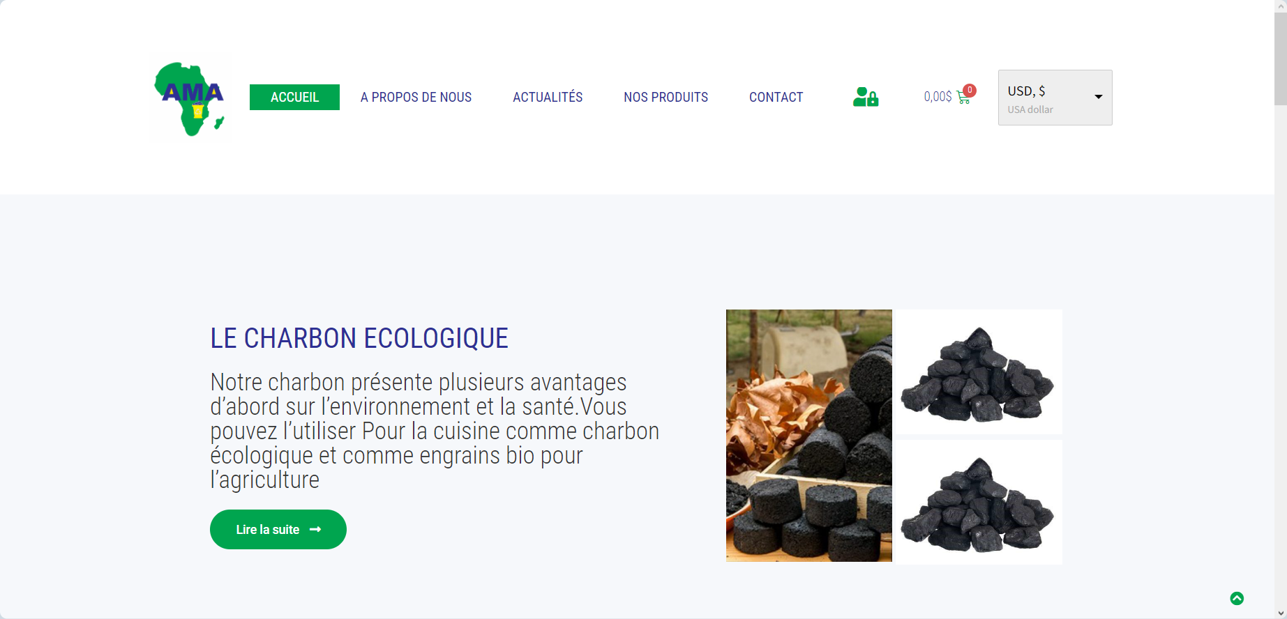 Création du site web de ACTION METANOIA AFRIKA SARL